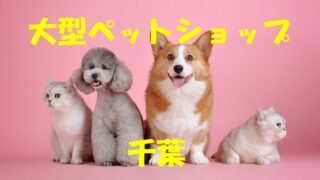埼玉 厳選10選 大型 大きいペットショップ ランキング 店舗情報一覧 店舗情報局