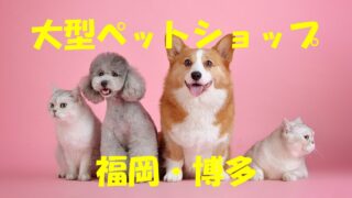 関東 厳選選 超大型 大型ショッピングモール 店舗情報一覧 店舗情報局