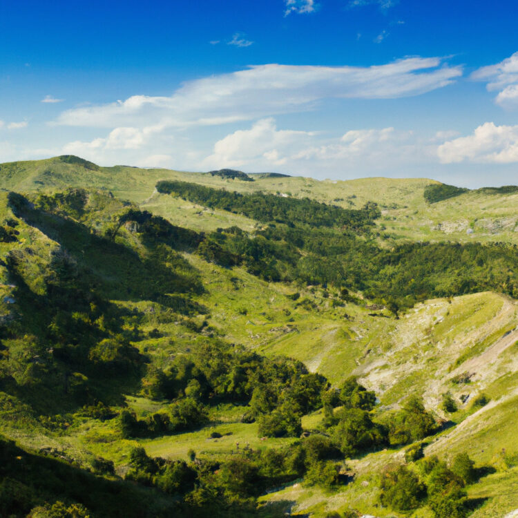 【熊本・厳選10選】大型の道の駅・大きい道の駅【店舗情報一覧】|店舗情報局